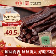 宝聚源 牛肉干250g 小包装手撕零食老人小孩食品特产中华老字号原味